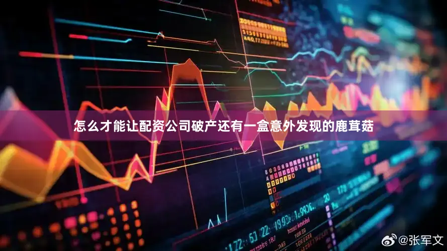 怎么才能让配资公司破产还有一盒意外发现的鹿茸菇