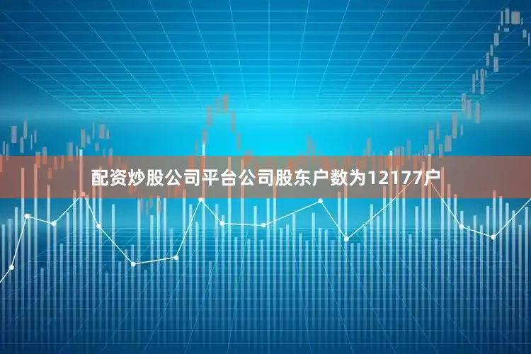 配资炒股公司平台公司股东户数为12177户