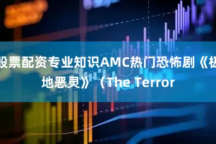 股票配资专业知识AMC热门恐怖剧《极地恶灵》（The Terror