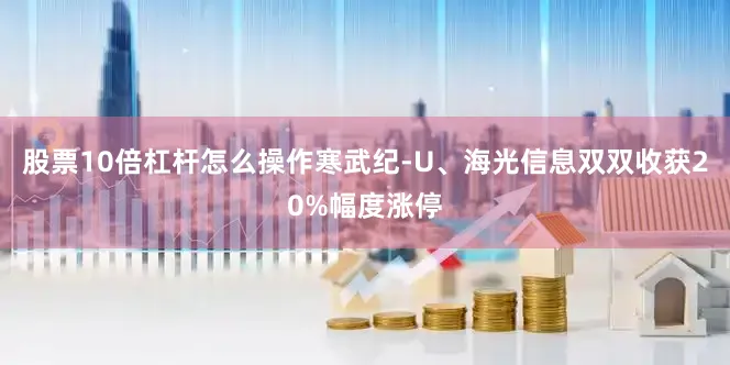 股票10倍杠杆怎么操作寒武纪-U、海光信息双双收获20%幅度涨停